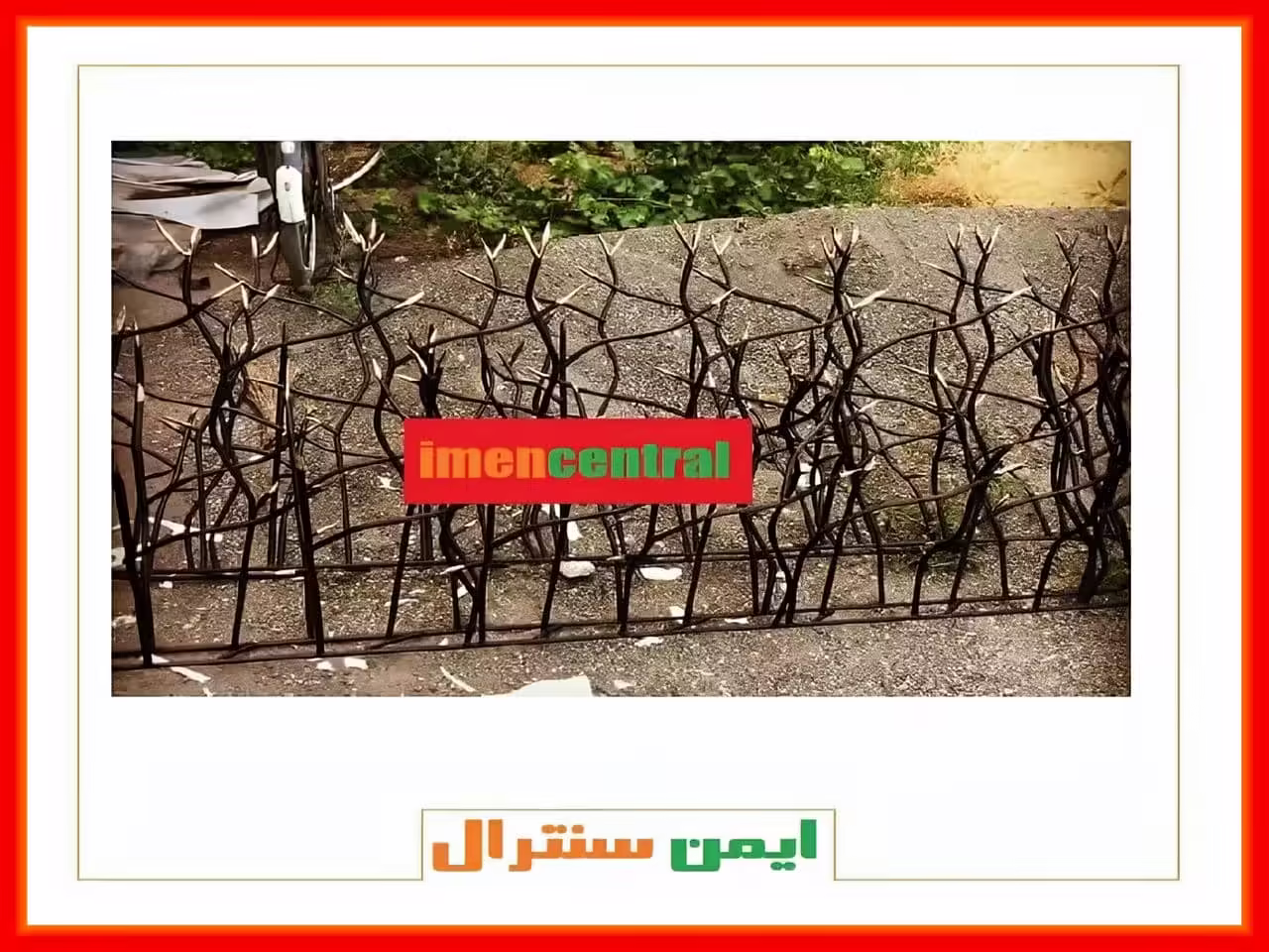 حفاظ شاخ گوزنی دیوار