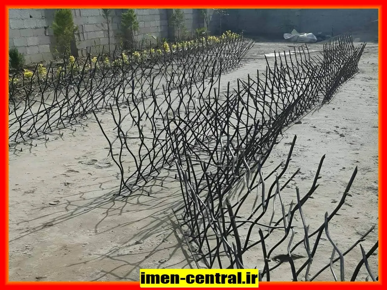 حفاظ شاخ گوزنی