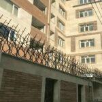 حفاظ شاخ گوزنی