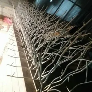 حفاظ بوته ای تراکم 88 حفاظ بوته ای تراکم 88