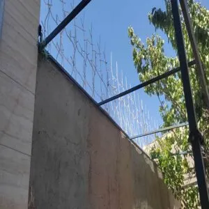 حفاظ شاخ گوزنی تراکم ۲۲ اقتصادی