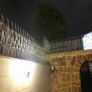 حفاظ شاخ گوزنی تراکم 40 حفاظ شاخ گوزنی تراکم 40