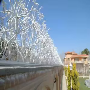 حفاظ نخل مرداب