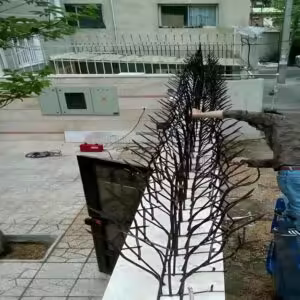 مشاهده عکس و بررسی قیمت مدل های متنوع حفاظ شاخ گوزنی – انتخاب بهترین محافظ دیوار حیاط و ویلا