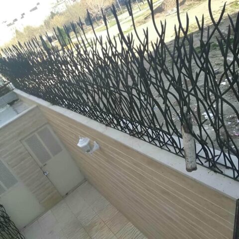 انواع مدل های حفاظ شاخ گوزنی