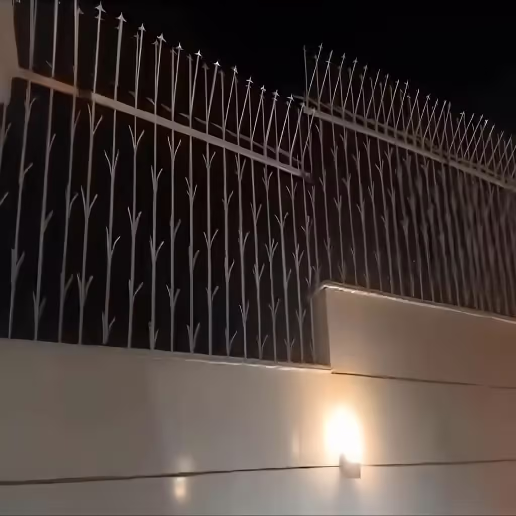 بهترین مدل حفاظ شمشادی تزئینی برای حیاط و پارک