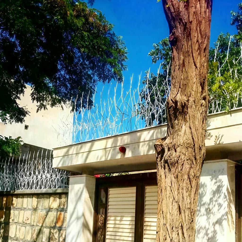 قیمت حفاظ شاخ گوزنی ویلایی در محمودآباد