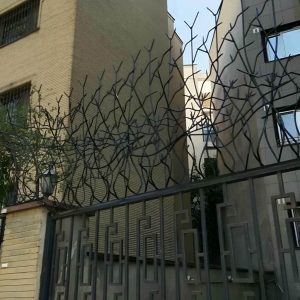 حفاظ شاخ گوزنی در کرمانشاه