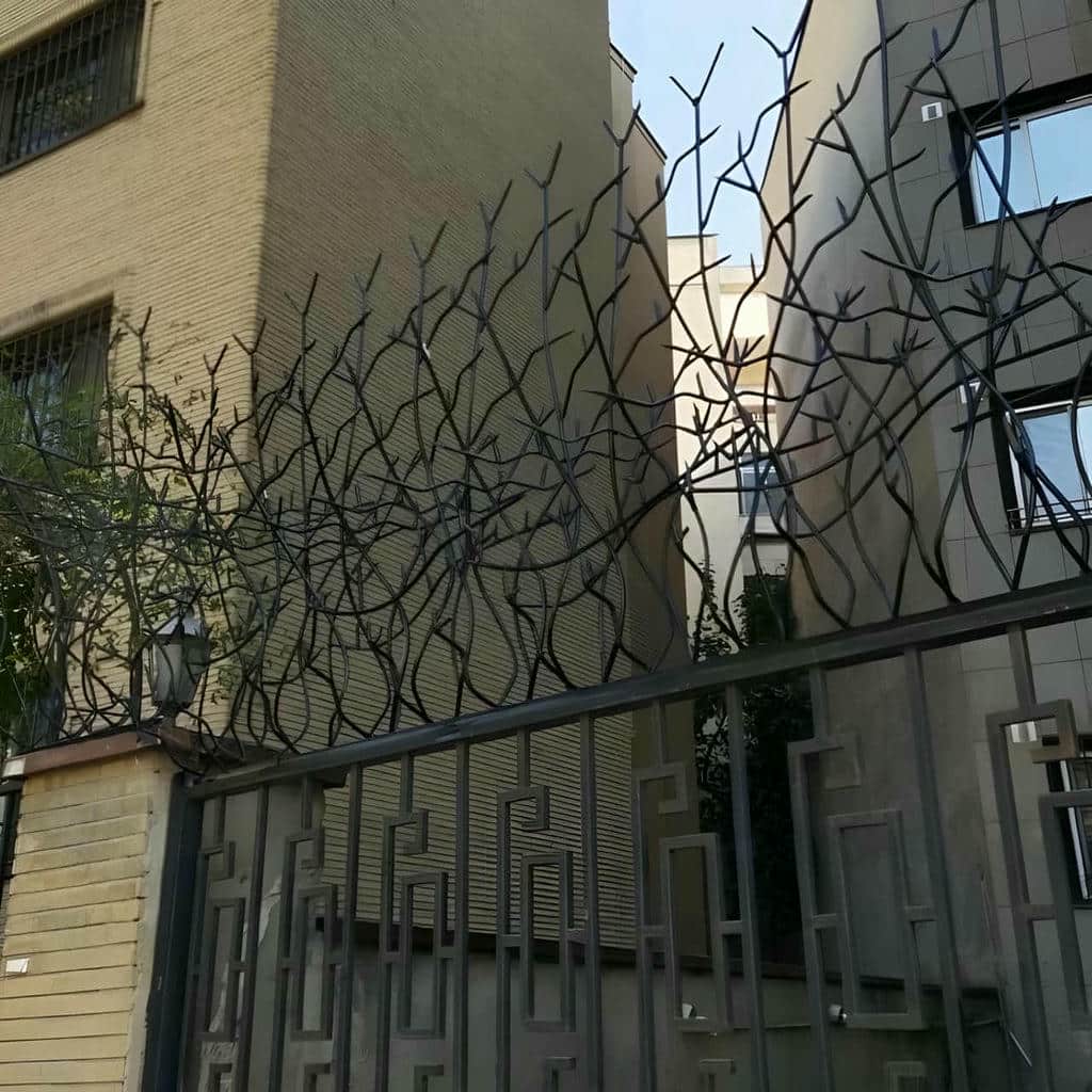 حفاظ شاخ گوزنی در کرمانشاه