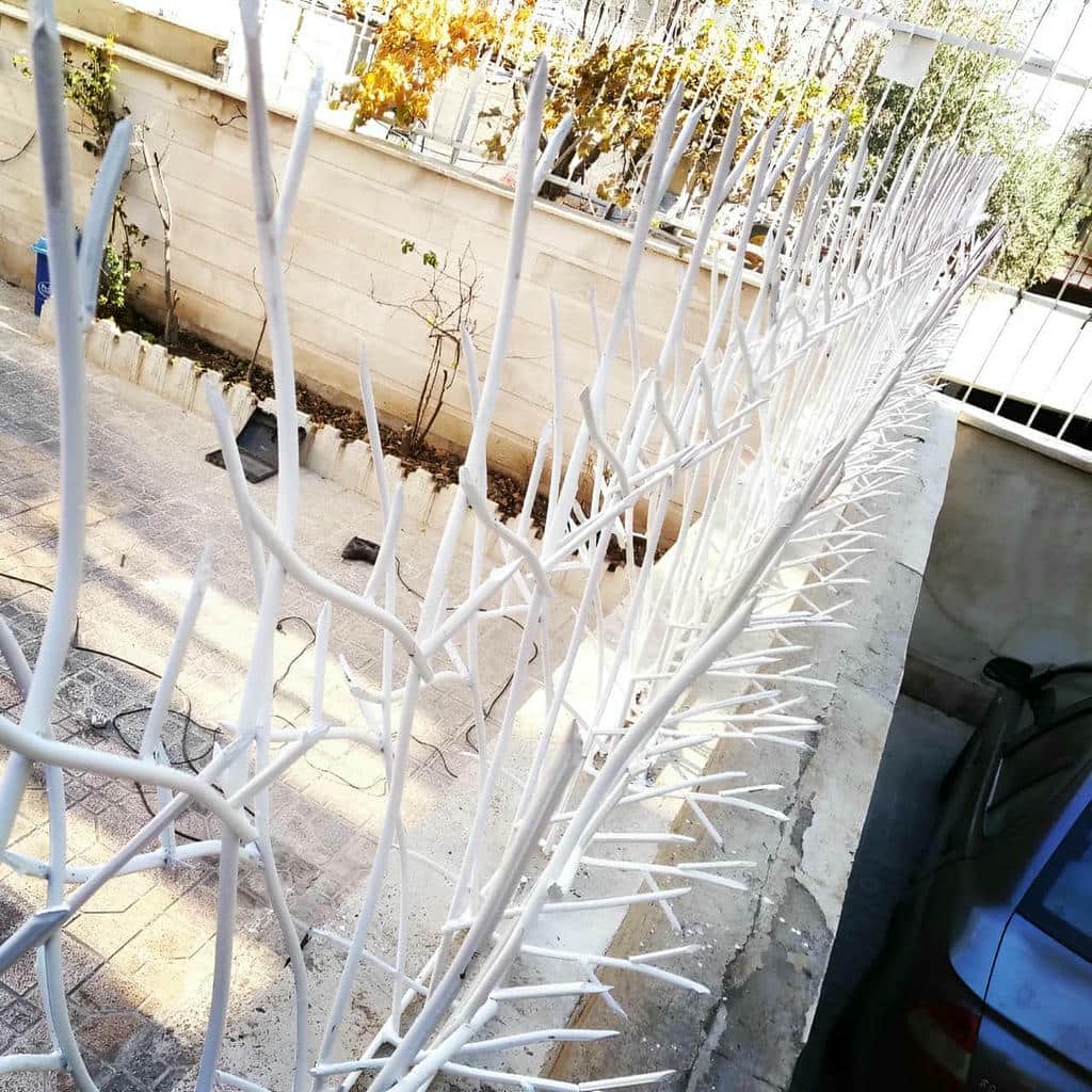 خرید حفاظ شاخ گوزنی تراکم متنوع در بومهن
