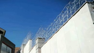 حفاظ شاخ گوزنی در مهرشهر کرج