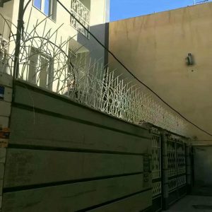 حفاظ شاخ گوزنی در کردان