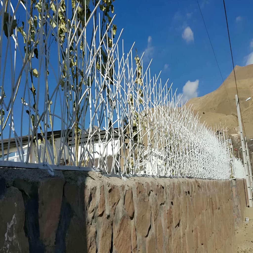 خرید حفاظ شاخ گوزنی تراکم متعادل در فردیس کرج