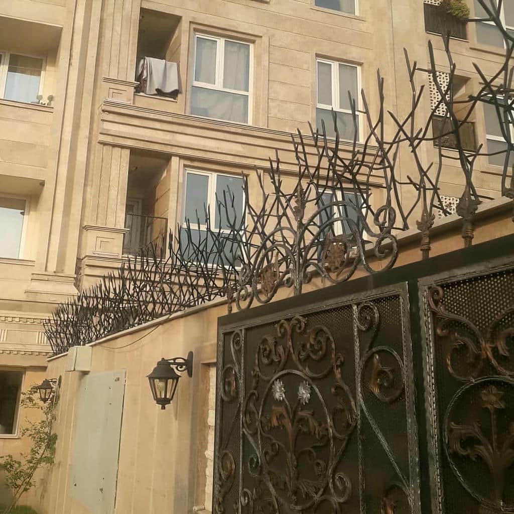 قیمت حفاظ شاخ گوزنی ارتفاع متنوع در چابهار
