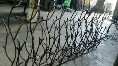 حفاظ شاخ گوزنی در ارومیه