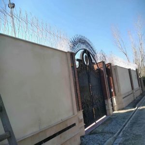 حفاظ شاخ گوزنی در همدان