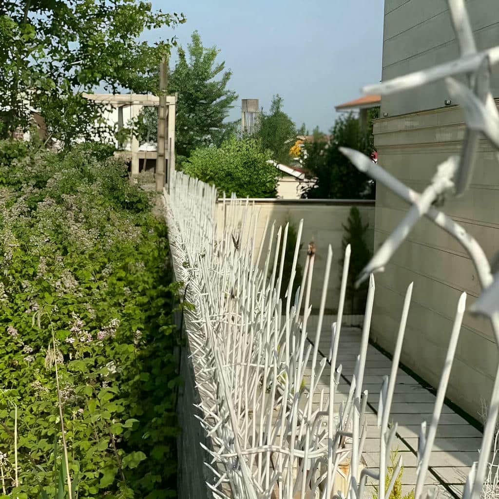 فروش حفاظ شاخ گوزنی نوک تیز در پردیس