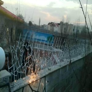 حفاظ شاخ گوزنی در استان خوزستان