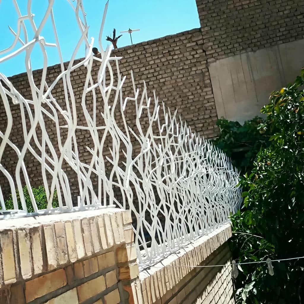 حفاظ شاخ گوزنی در چابهار