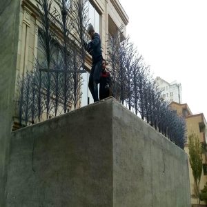 حفاظ شاخ گوزنی در مریوان
