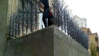 حفاظ شاخ گوزنی در مریوان