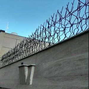 حفاظ شاخ گوزنی در آبادان