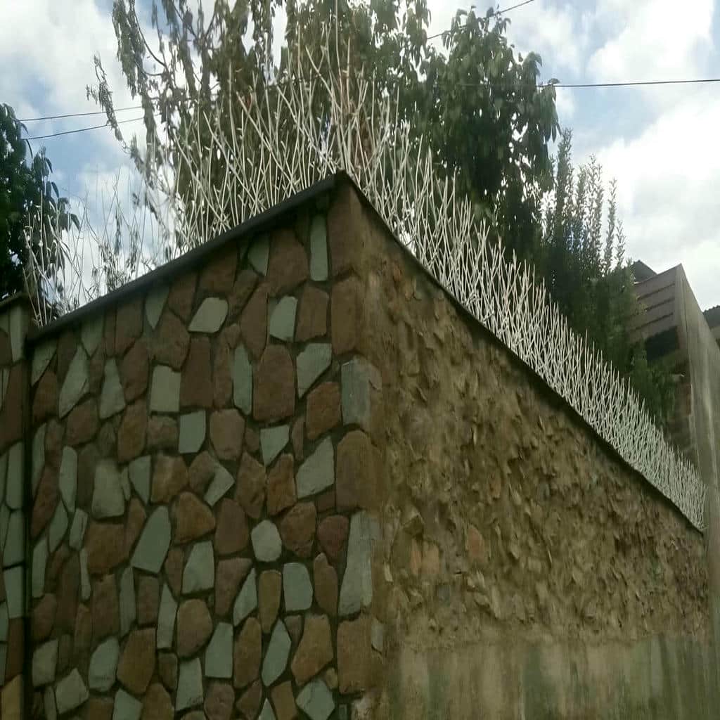 کارخانه حفاظ شاخ گوزنی نوک تیز در قزوین