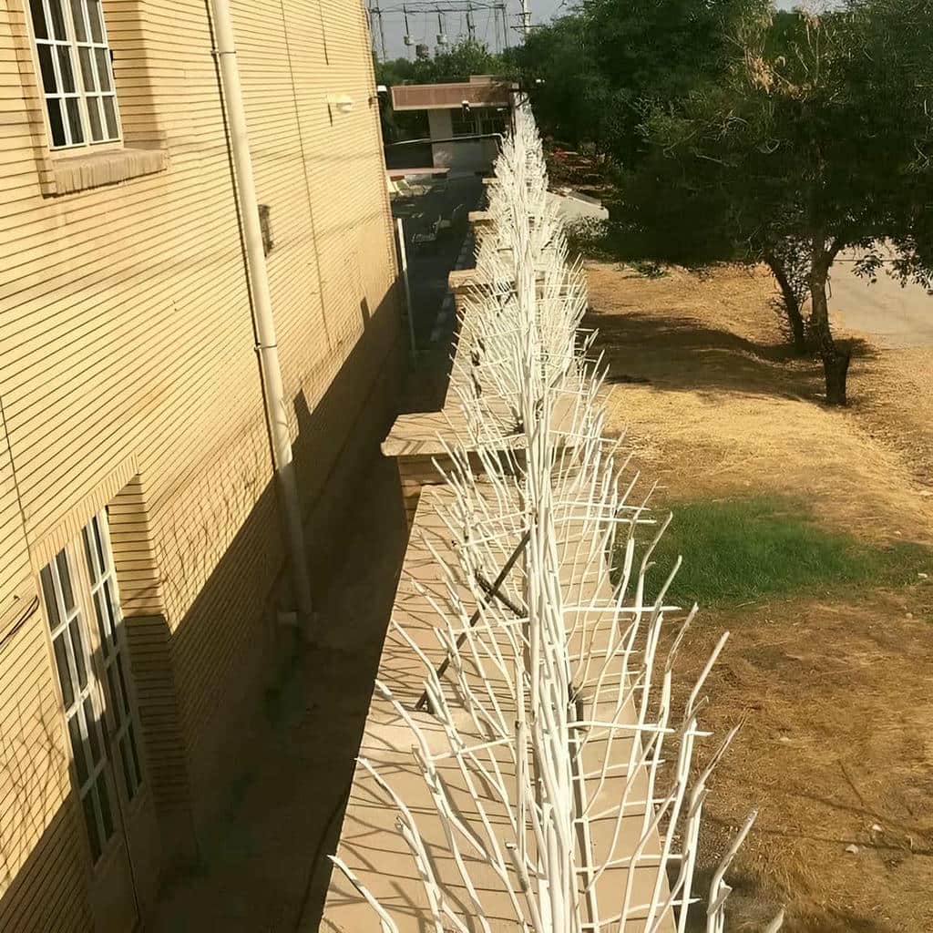 قیمت حفاظ شاخ گوزنی تراکم متوسط در رفسنجان