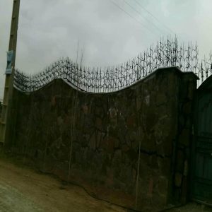 حفاظ شاخ گوزنی در پردیس