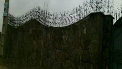 حفاظ شاخ گوزنی در پردیس