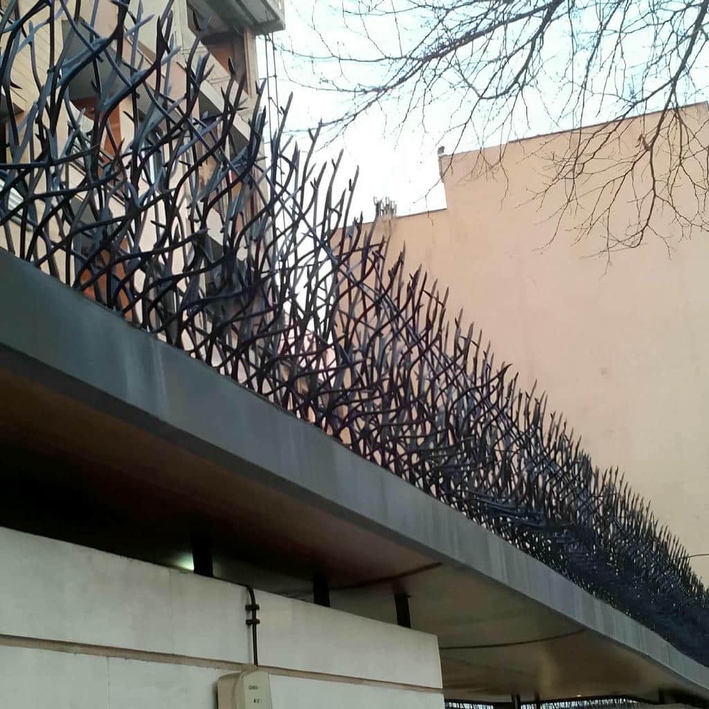 حفاظ شاخ گوزنی در عظیمیه کرج