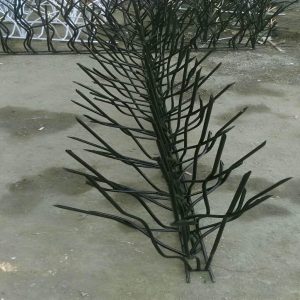 حفاظ شاخ گوزنی در گرگان