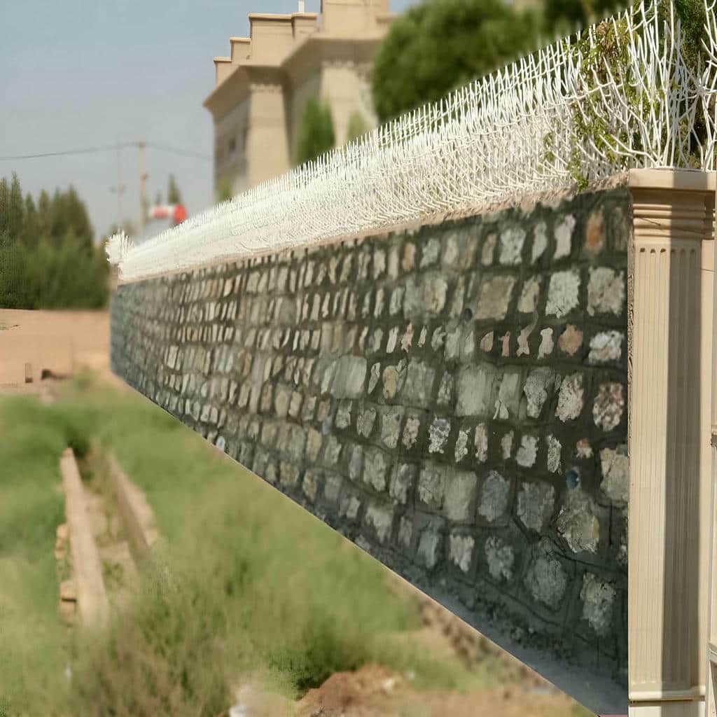 حفاظ شاخ گوزنی در آبسرد