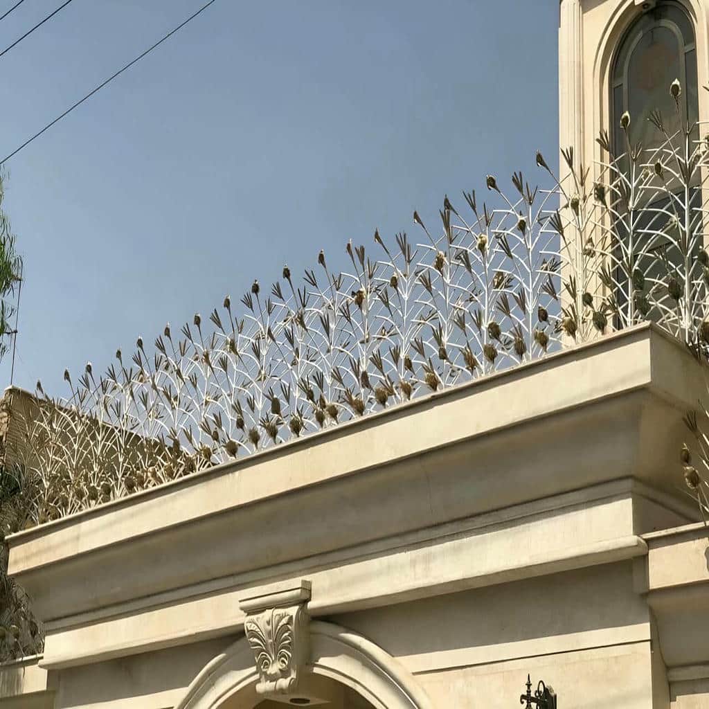 خرید حفاظ شاخ گوزنی متراکم در قائمشهر