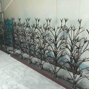 حفاظ شاخ گوزنی در فیروزکوه