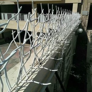حفاظ شاخ گوزنی در بومهن