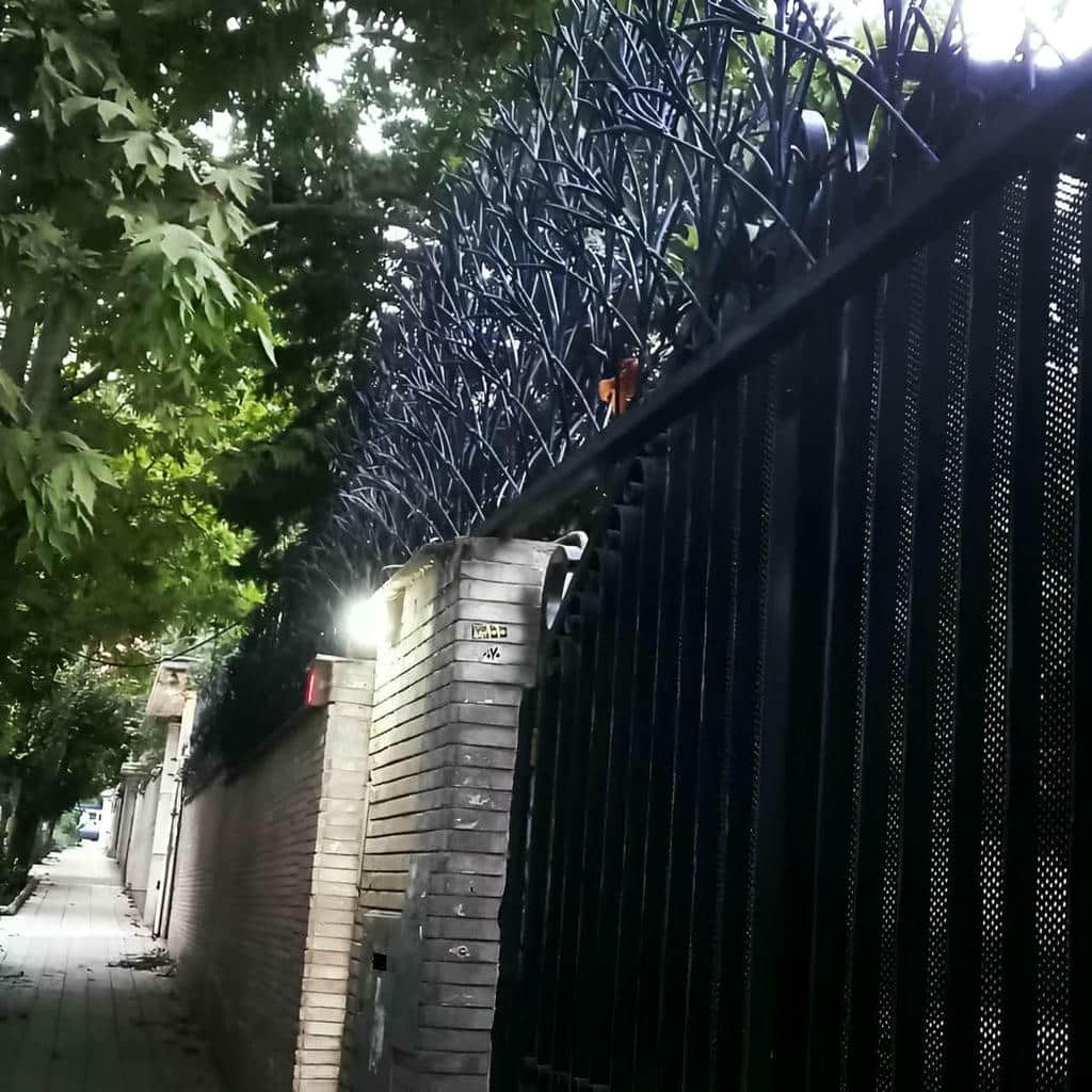 حفاظ شاخ گوزنی در بابل