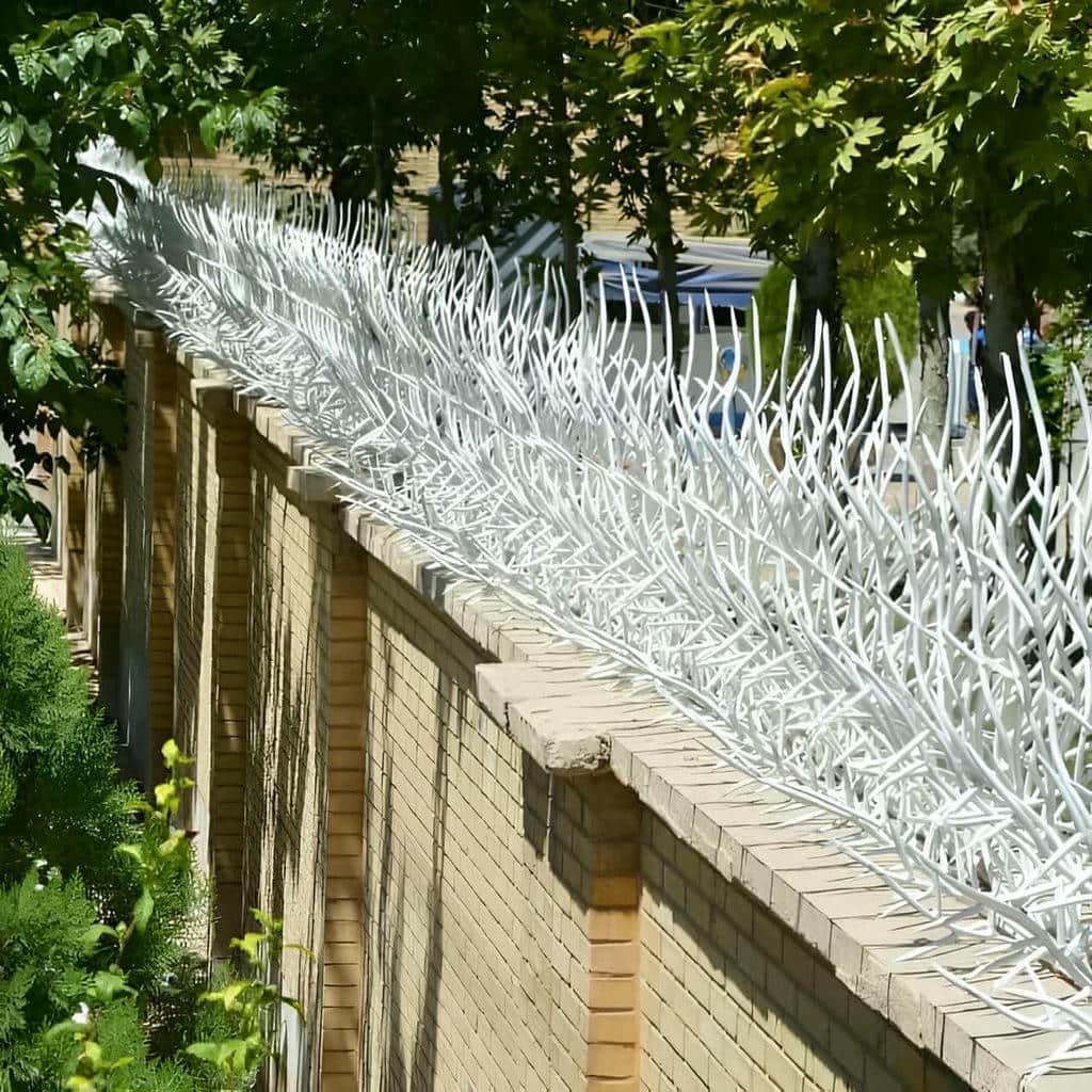 قیمت حفاظ شاخ گوزنی شاخه درهم تنیده در بابل