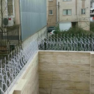 حفاظ شاخ گوزنی در سنندج