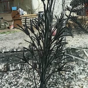 حفاظ شاخ گوزنی در اصفهان