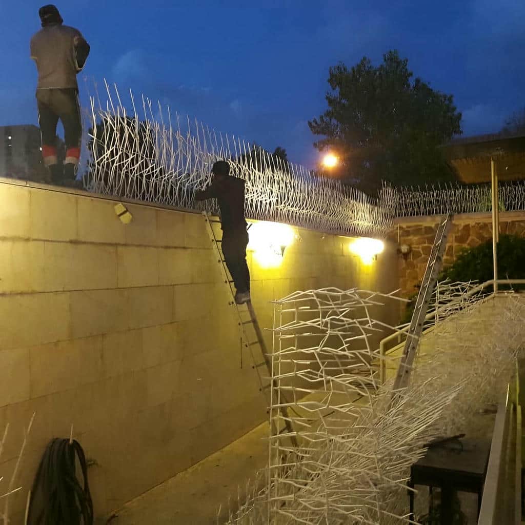 فروش حفاظ شاخ گوزنی نوک تیز در لواسان