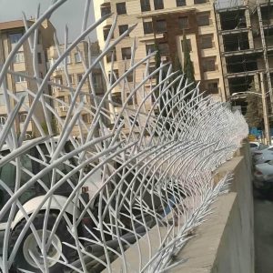 حفاظ شاخ گوزنی در قزوین