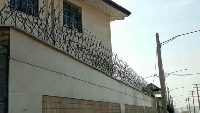 حفاظ شاخ گوزنی در سیرجان