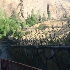 حفاظ شاخ گوزنی در بندر لنگه