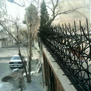 حفاظ شاخ گوزنی در ساوه
