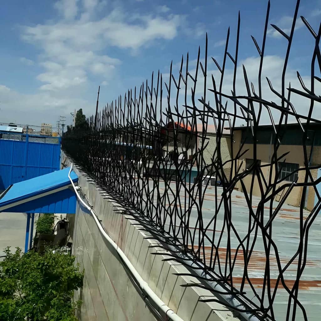 خرید حفاظ شاخ گوزنی متراکم در سقز
