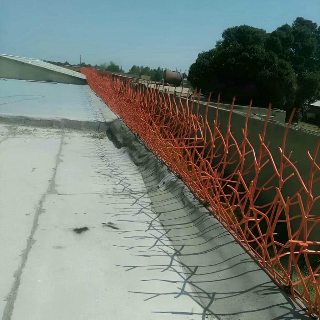 قیمت حفاظ شاخ گوزنی شاخه درهم تنیده در محمدشهر