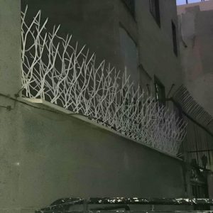 حفاظ شاخ گوزنی در فردیس کرج