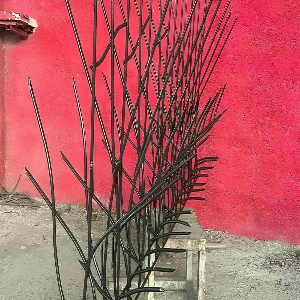 حفاظ شاخ گوزنی در مشهد
