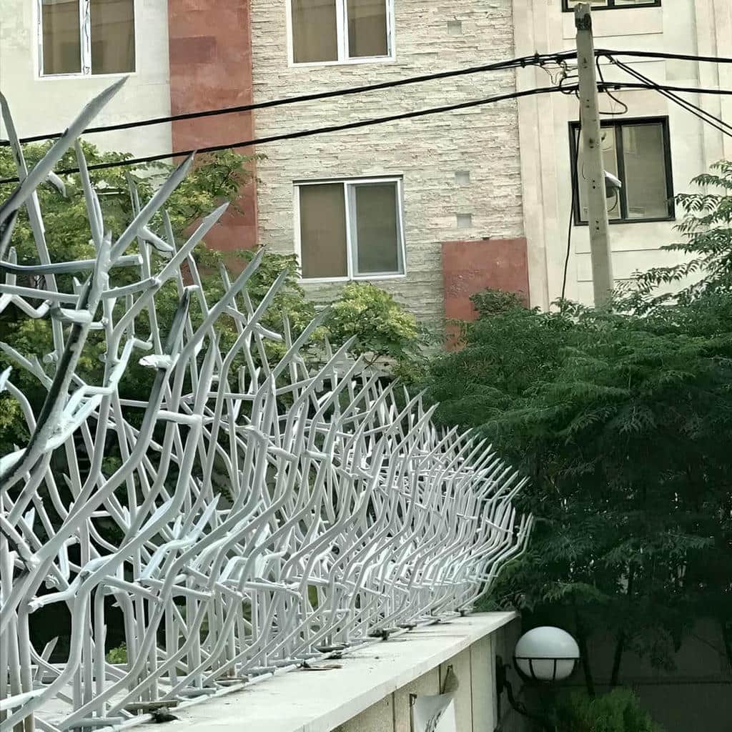 فروش حفاظ شاخ گوزنی مقاوم در رفسنجان
